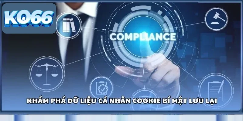 Khám phá dữ liệu cá nhân Cookie bí mật lưu lại