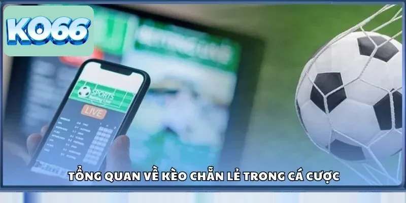 Tổng quan về kèo chẵn lẻ trong cá cược
